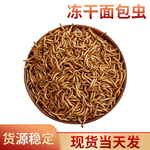 Wholesale bread worm dry turtle food hamster feed yellow meal worm dry fish fish feed 1kg pet feed