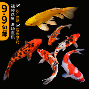 �\���~���~�^�p�~���N���ͼt����ˮ��ˮ���B�ͻ���~�t���~С�~��