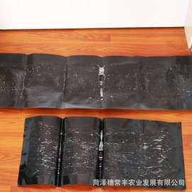 亚马逊60×27.5老鼠贴捉老鼠神器强力粘鼠板家用捕鼠防黏灭