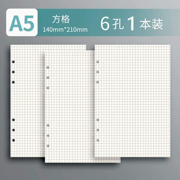 A5丨6 holes丨1 square丨60 sheets