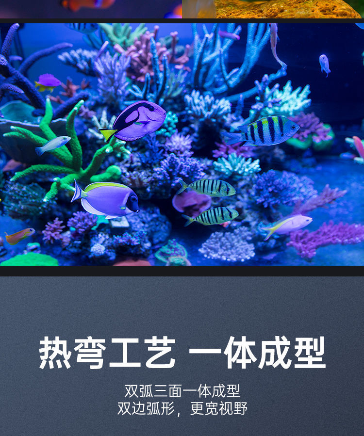 18dc6aaa-3da0-43a6-a545-2e7086c75588.jpe