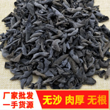 南北菌菇东北黑木耳 秋木耳干货肉厚无沙黑木耳特产散装500g批发