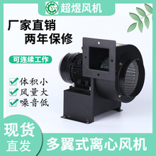 �|ݸ���ϏS�ҹ������L�C���I�x���L�C���L�C���D���x���L�Cͨ�L�C