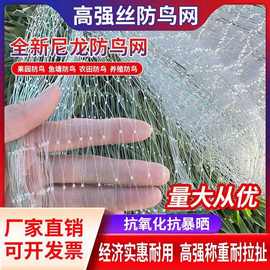 全新尼龙防鸟网果树果园葡萄草莓樱桃大棚防护网水稻青蛙养殖天网
