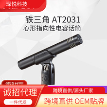 Audio Technica/铁三角 AT2031 电容麦钢琴提琴吉他人声专业话筒