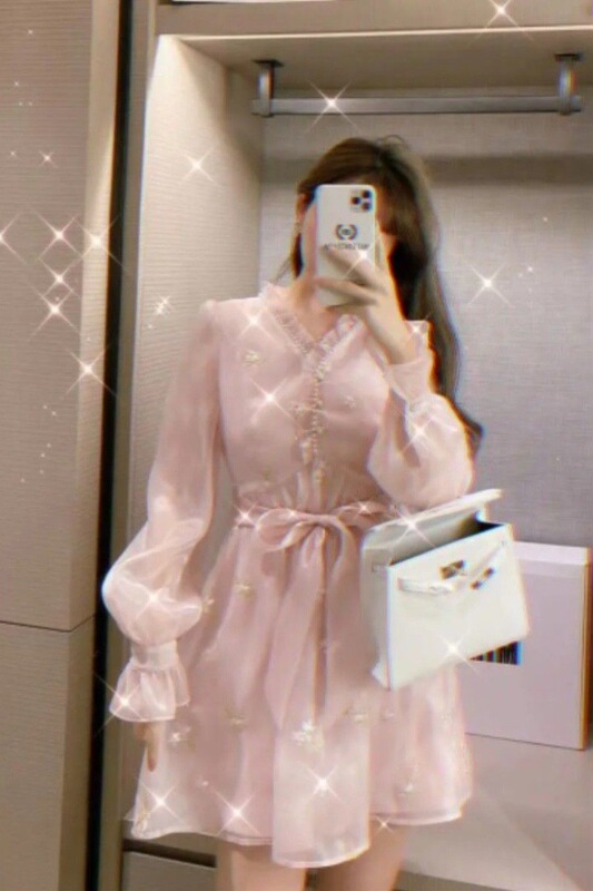 Super Fairy Twilight Gauze Dress for Women 2025 Spring and Summer New First Love Embroidered Beaded V Neck Mid-Length Skirt Belly-Covering Skirt