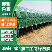 �G��Ĥʳ�þ��Nֲ�G��Ĥ��Ĥ�������ϱ�Ĥ���ϻ��L���p�ӱ��س���