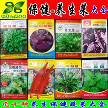 药食两用蔬菜种子 材种籽 板蓝根蒲公英黄秋葵紫苏薄荷草新品