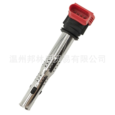 06D905115 Ignition Alovlanma bobini (Babinalar)