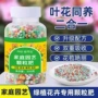 长效家用通用型养花缓释肥