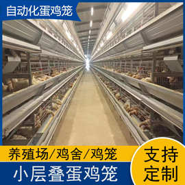 热镀锌大层叠蛋鸡笼集蛋一体全自动养殖设备肉鸡笼 厂家生产