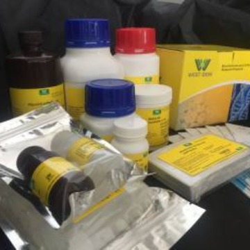 潮霉素B Hygromycin B