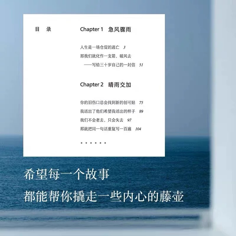 などのすべての風が穏やかで、劉さんと2024年の新しい本の散文は10年の脱皮の作品を集めます。|undefined