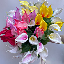 ���滨5�^С�R��ɏ��c���������߼Ҿ��b�ˇ����ֲ��羳���l