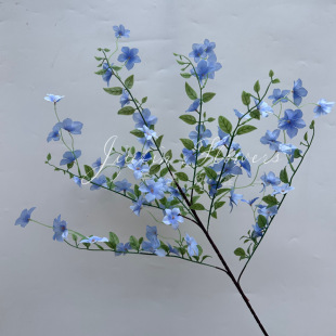 ����ǧ�����^ɽ���S����c�Ҿ��b��滨����������㶡�㻨