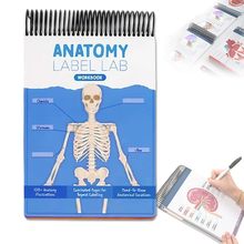 �羳��ƷAnatomy Label Lab Workbook������ʱ�ǩʵ���ҹ�����