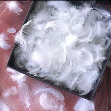 �h�����ؼ��YƷ�����ë�Y�ﾫ�x�����p�ֹ���С��ܰll������b�