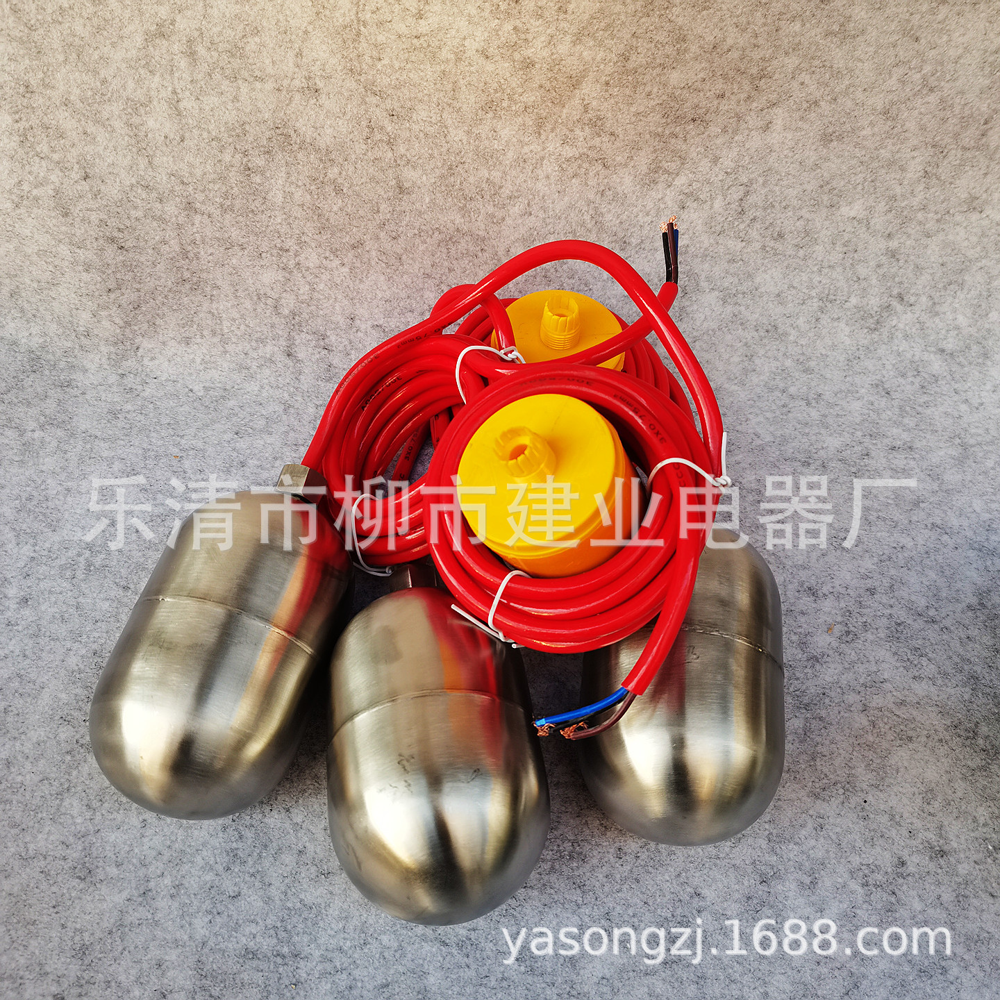 IMG_20250325_164955_副本