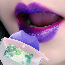 HUASURV外贸跨境滋润唇形口红擦拭变色持久显色唇彩可定制图片