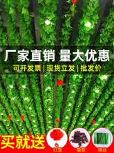 ���������~�ٗl����ֲ����~�ӹܵ�����b��ټٻ����ϾG�~�p�@