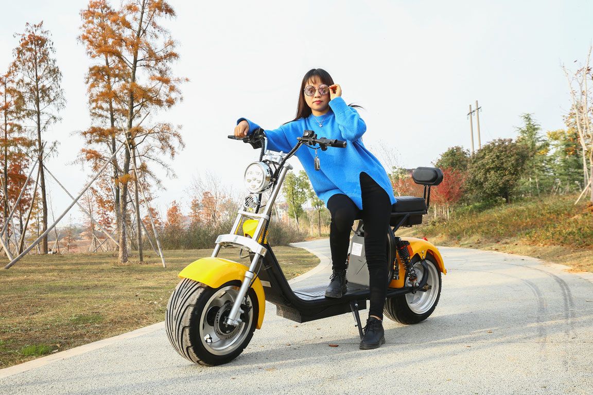 Eec Adult Scooter Two-Wheeled Motorcycle Harley Electric Vehicle 12 Dual Batteries 60V/12A