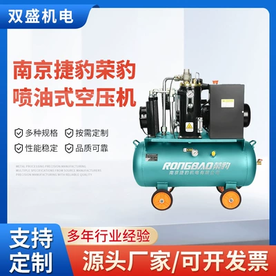 Nanjing Jaguar Air Compressor 220V Built-In Silent Oil-Free Small Air Pump Industrial-Grade Auto Repair Painting Low-Noise (Hava kompressorları)