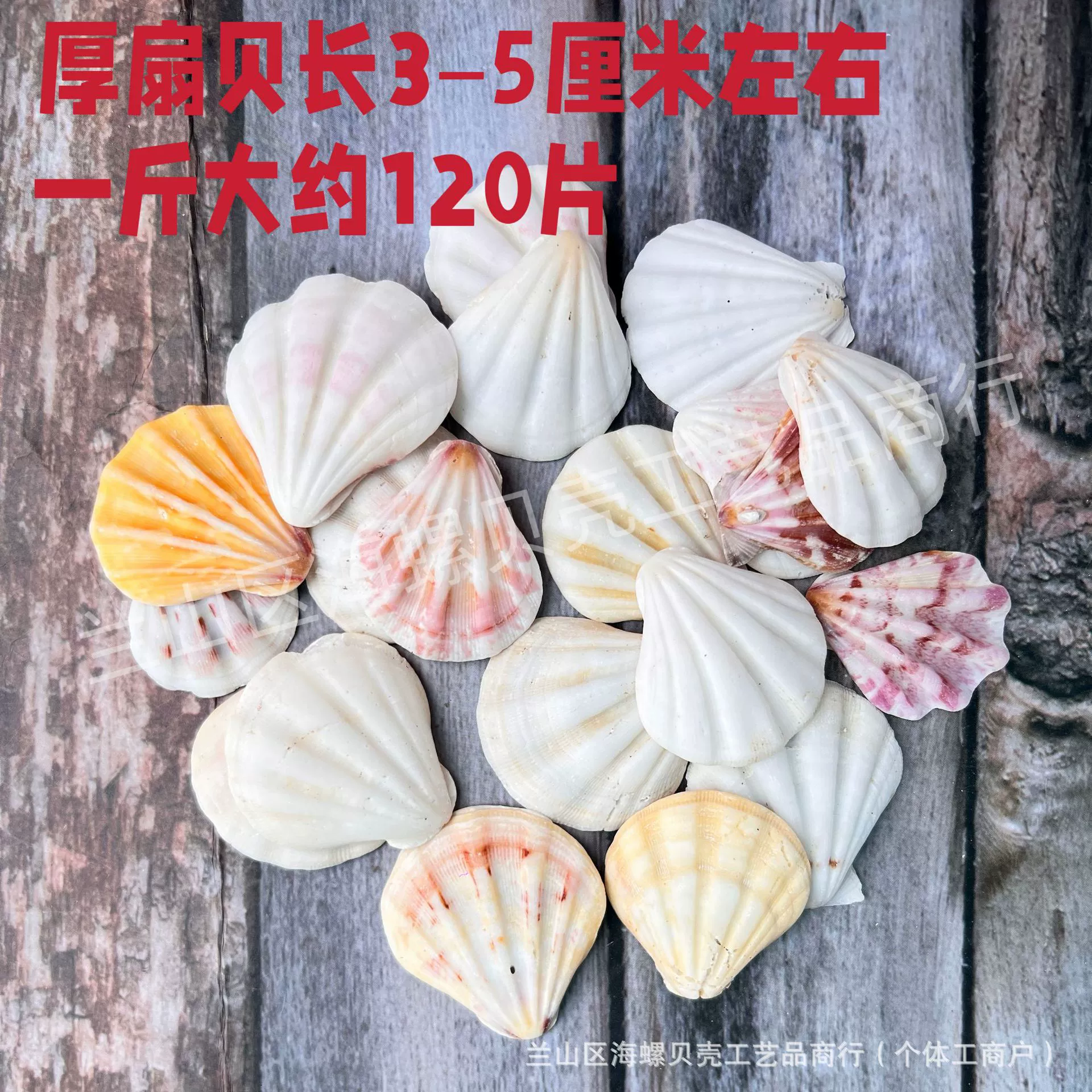 Shell Natural Shell Conch Stars Drifting Bottle Shell Crafts Wholesale Diy Handmade Shell Materials