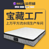 Diglant席梦思床垫家用护脊云感记忆棉高端民宿加厚记忆棉床垫|ms