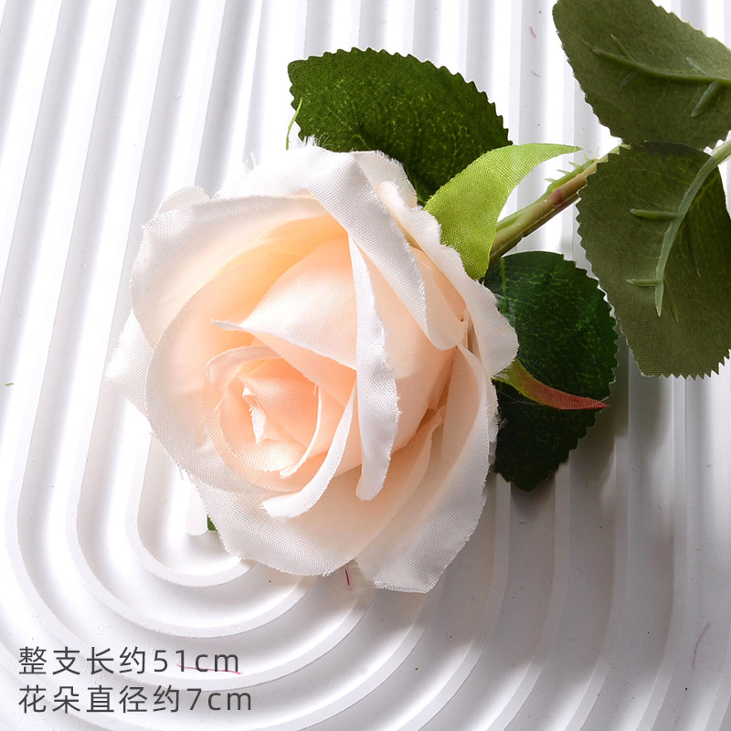 珍珠玫香槟（绢布版）
