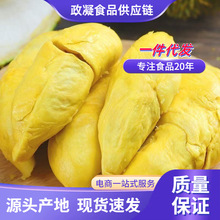 ̩��������ɏ�����r��S���]��������M�ژ����؈ɽ��ɏ�������l