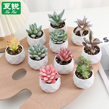 ����ֲ�q����ֲ�����Լٻ��b��滨����[������С�辰�����Gֲ