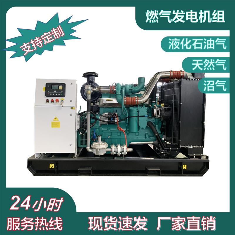 100kW Cummins 石炭層ガス発電機セット バイオガス静音ボックス発電装置メーカー|undefined