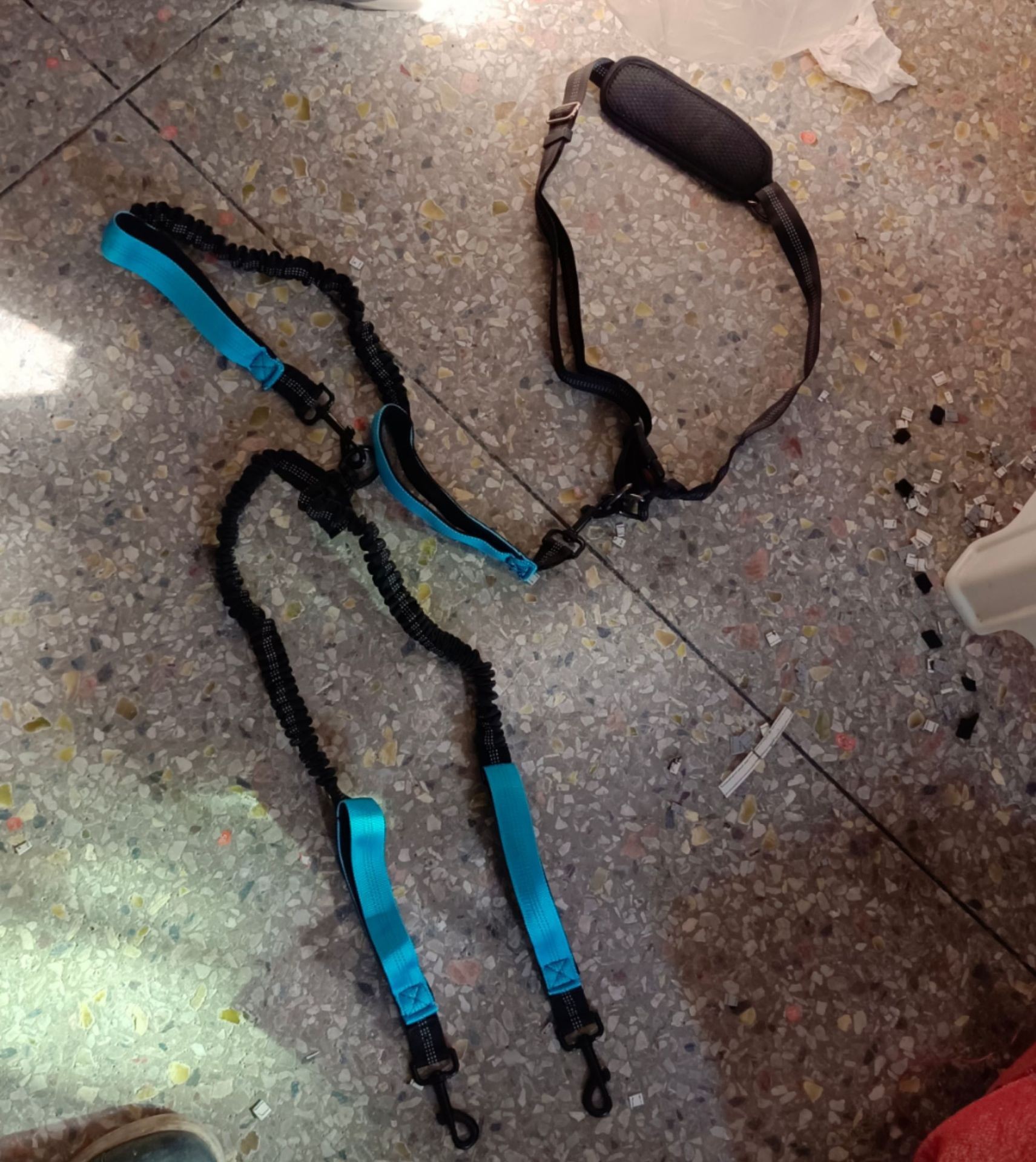 Dog Leash 2