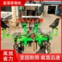 多功能自动式简单操作移栽机