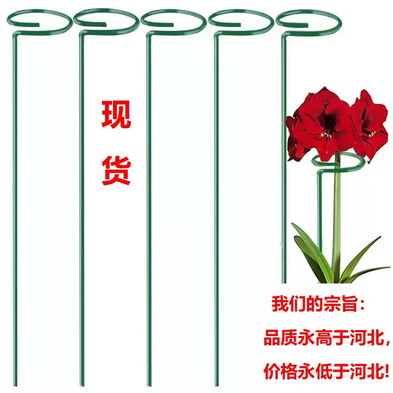 月季花架爬藤架户外铁艺花卉支撑杆架植物花卉防倒伏杆园艺固定架