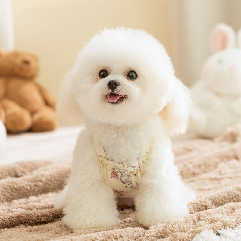Otoño e invierno perro engrosamiento más terciopelo princesa viento cálido arco encaje chaleco falda gato falda ropa para mascotas