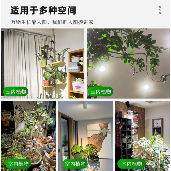 Built-in plant lamp
