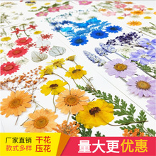 ���w�����l �F؛�ɻ����ֹ�diy���ϰ� �W�t���NĘ����y Ѻ������