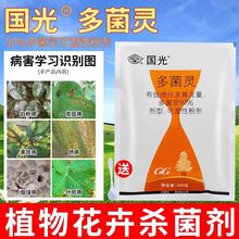 国光500g多菌灵杀菌剂花卉植物盆栽果蔬叶斑黑斑白粉花药黄叶黑叶