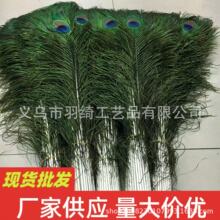 真孔雀羽毛80-90cm孔雀毛插花瓶时尚装饰婚庆羽毛diy饰品配件批发