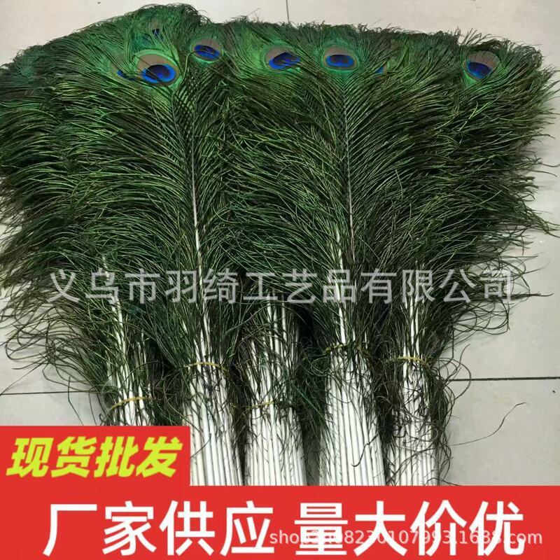 Real Peacock Feathers 80-90cm Peacock Feather Vase Fashion Decoration Wedding Feather DIY Jewelry Accessories Wholesale