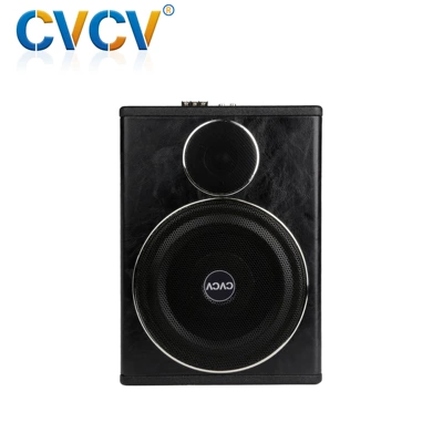 8inch Bluetooth Active Car speaker/subwoofer