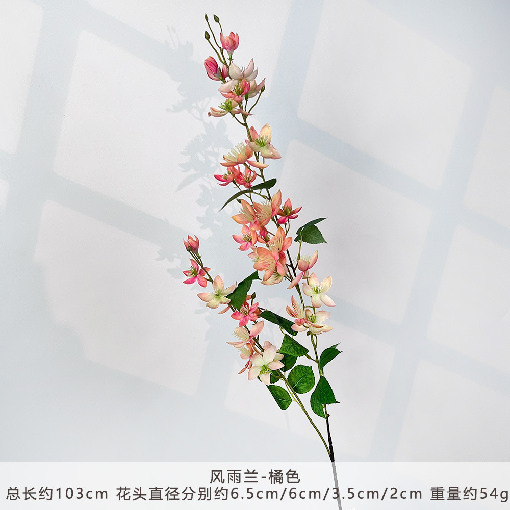 WP-Wind and Rain Orchid-Cam