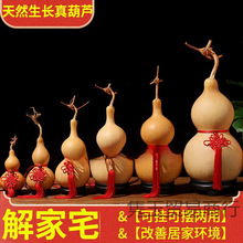 ��Ȼ���J����Ї��Y����Xľ�|����J���Ҵ����������J�[���͏d