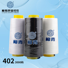 402������3000�a���ÿp�x�����w��]�ڰ׾�