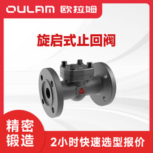 ����ʽֹ���y�F؛���� h44h��̖ DN25�ڏ� ���oÓ���b��ȥ�����w