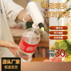 浇水电动喷壶浇花壶喷水壶喷壶消毒家用浇花多功能定时滴灌洒水壶