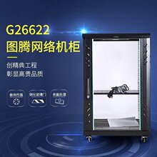 TOTEN图腾机柜 G26622 图腾22U 监控机柜 1米2 机房电器设备专用