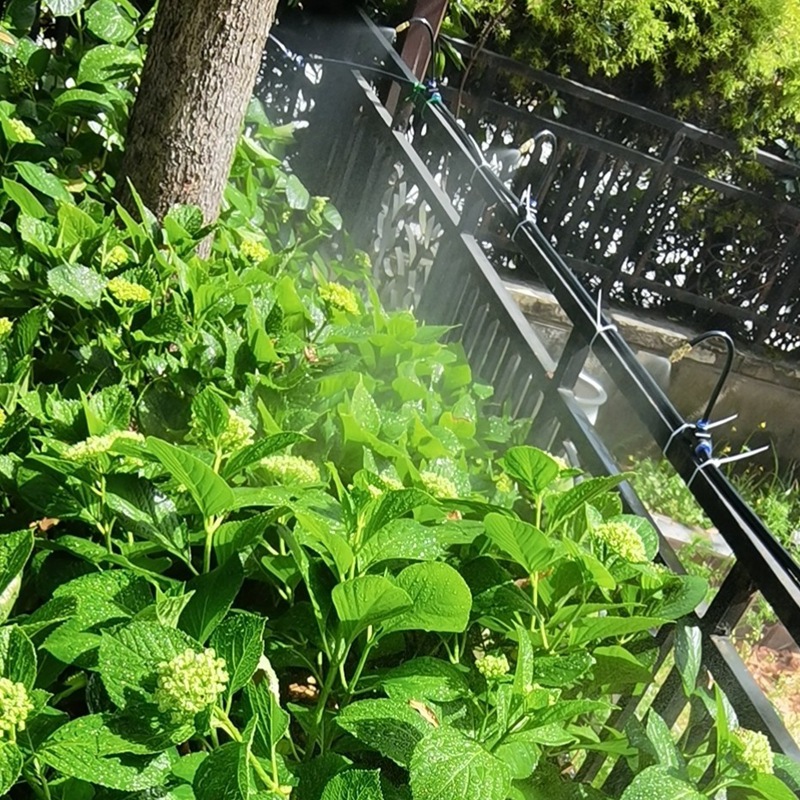 万向喷头喷雾效果