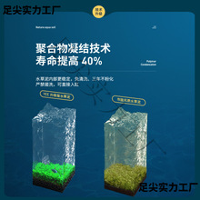 ~ˮݸײ쾰ɽ|ˮRdɰɰˮʷNֲɳ